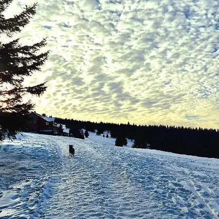 بيت للعطل Przystanek Na Szlaku