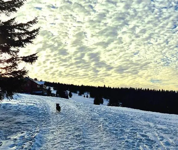 Holiday home Przystanek Na Szlaku